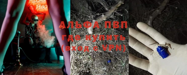 не бодяженный Белокуриха