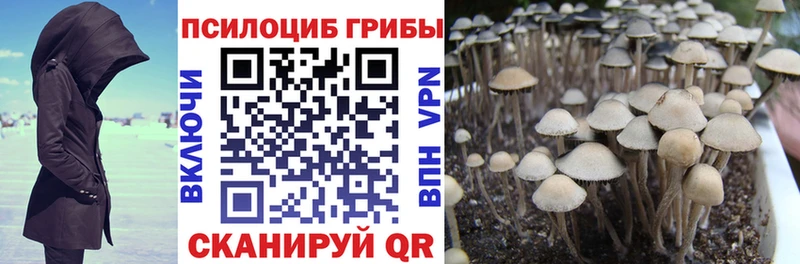 Псилоцибиновые грибы прущие грибы  Неман 